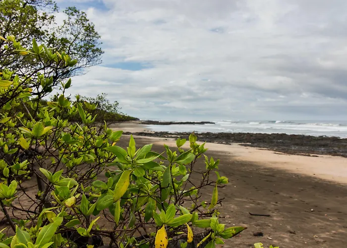 Hotel Latica Playa Negra